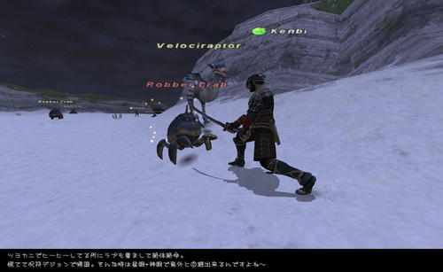 2009121302.jpg