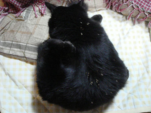 2009122005.JPG