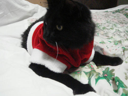 2009122007.JPG