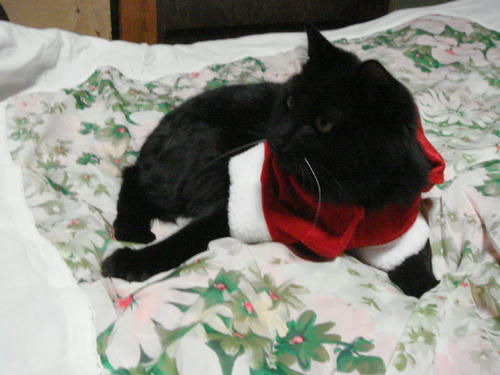 2009122008.JPG
