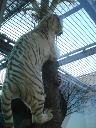2010011005.JPG