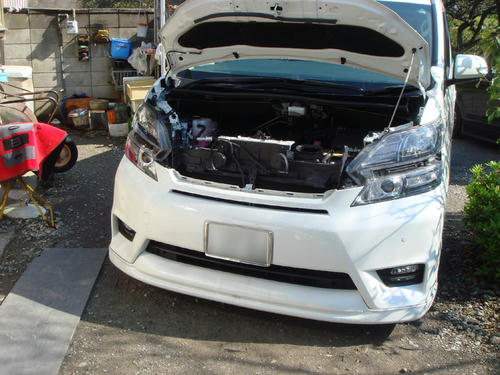 2010042403.JPG