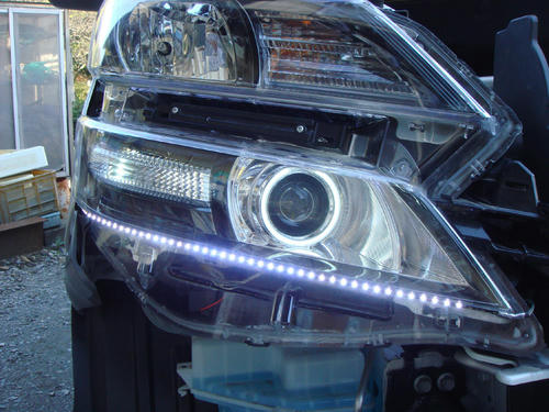 2010042410.JPG