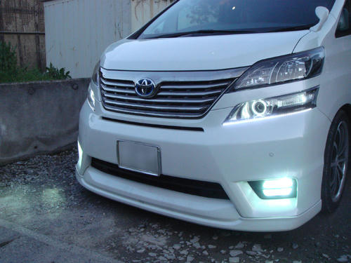 2010042411.JPG