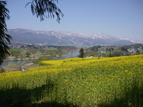 2010050303.JPG
