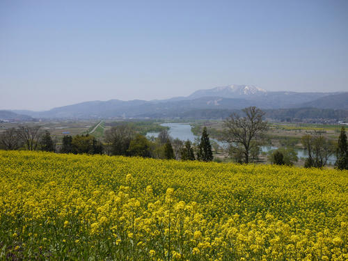 2010050304.JPG
