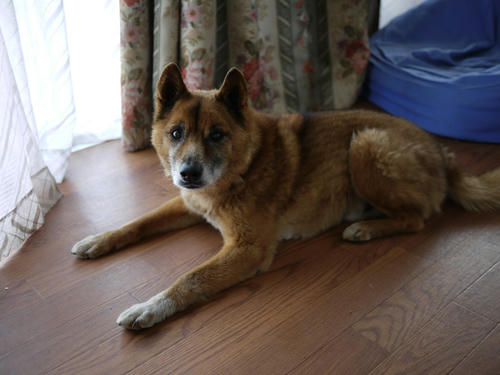 2010050306.JPG
