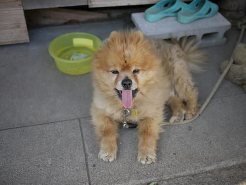 2010050307.JPG