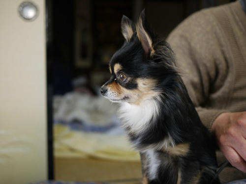 2010050308.JPG