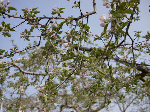 201050401.JPG