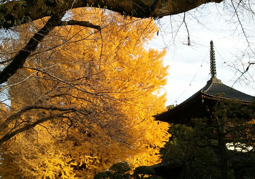 2010113001.jpg