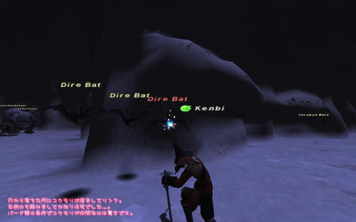 2010121501.jpg