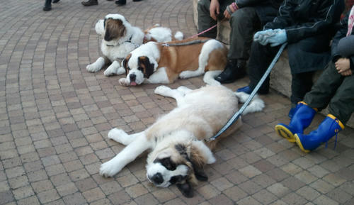 2011012403.jpg