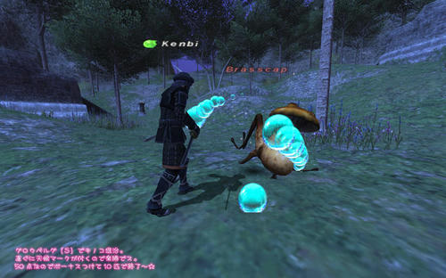 2011020101.jpg