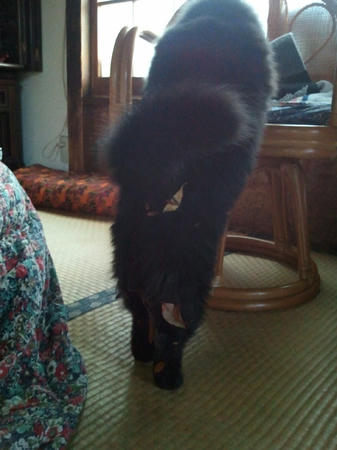 2011020604.jpg