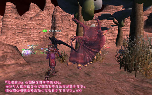 2011021107.jpg