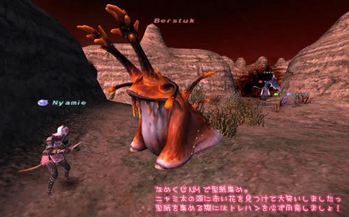 2011021108.jpg