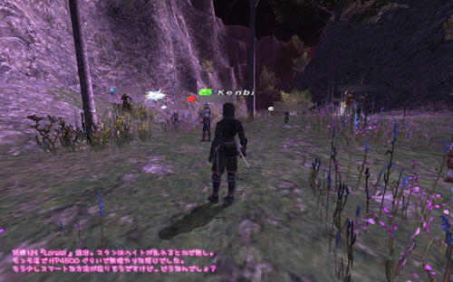 2011021302.jpg
