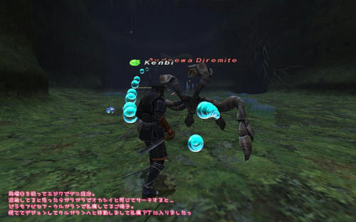 2011021305.jpg