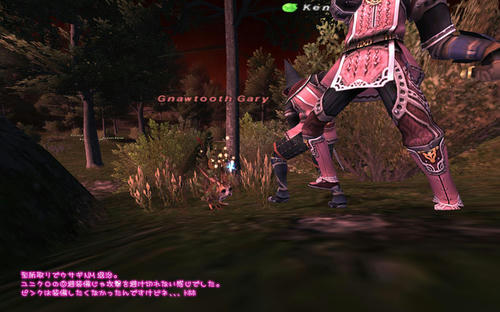 2011021401.jpg