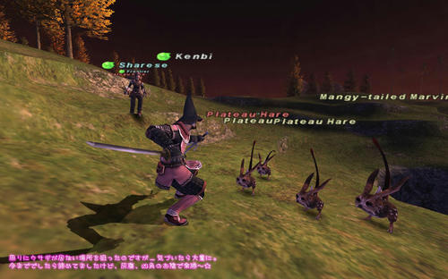 2011021705.jpg