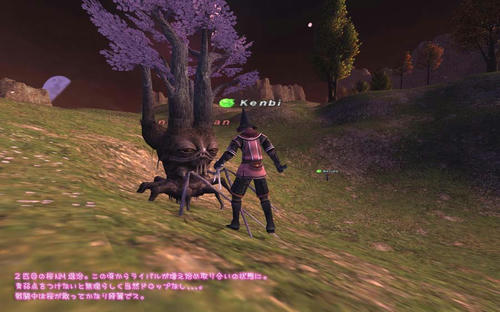 2011021803.jpg