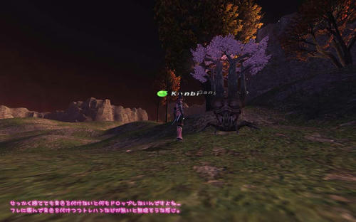 2011022004.jpg
