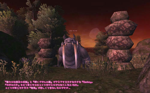 2011022008.jpg