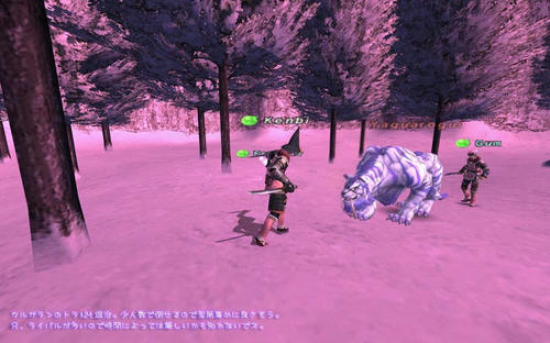 2011022503.jpg