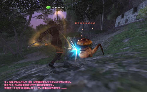 2011022704.jpg