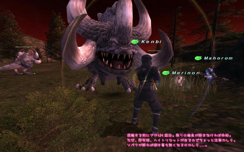 805425ff.jpg