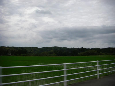 CIMG3370.jpg