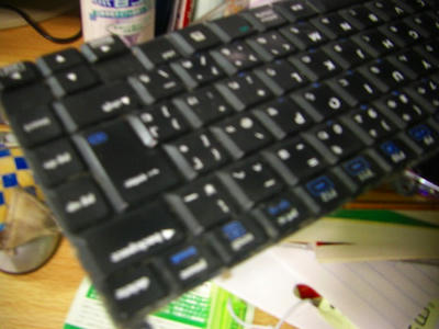 CIMG4407.jpg