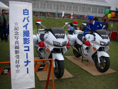 CIMG7199.jpg