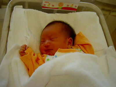 SANY0005.jpg