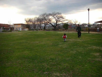 CIMG3668.jpg