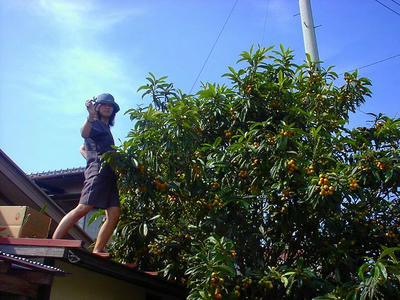 SANY0262.jpg