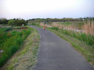 CIMG5132.jpg