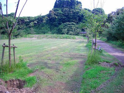 CIMG7564.jpg