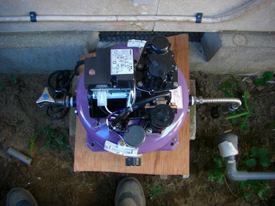 CIMG8182.jpg