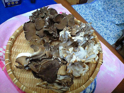 CA390088.jpg