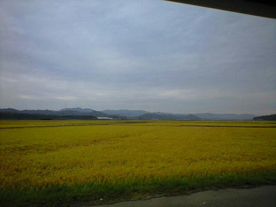 CA390044b.jpg