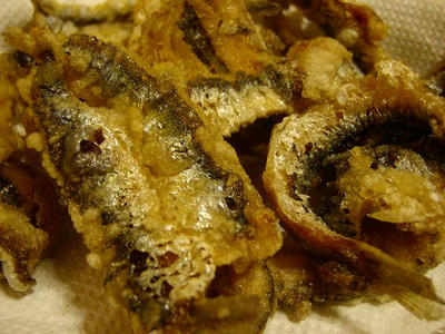 SANY0392.jpg