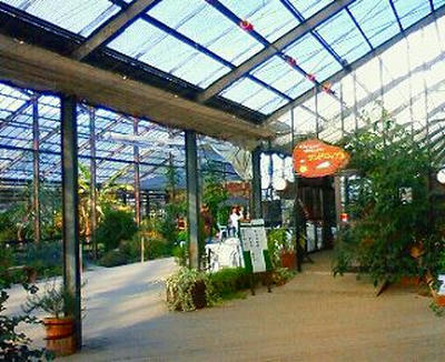 NEC_0065.jpg