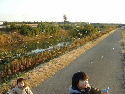 SANY0691.jpg