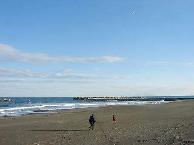 SANY0792.jpg