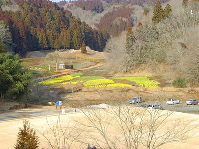 SANY1138.jpg