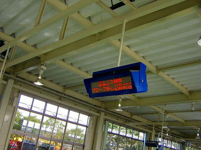 SANY1213.jpg