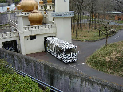SANY1486.jpg