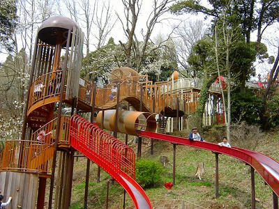 SANY0004.jpg